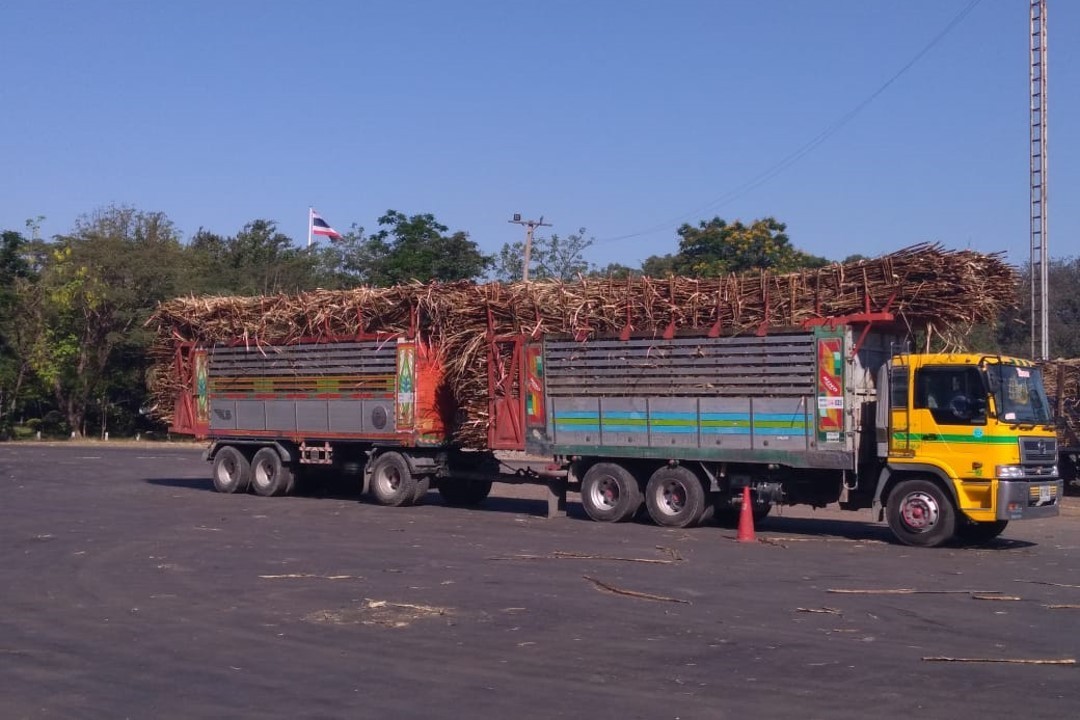 StoneX visita segunda maior usina açucareira da Tailândia - Mercados  Agrícolas | StoneX